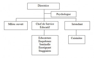 Organisation JOS Kin 2014T3